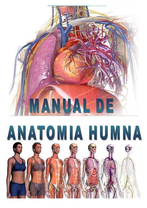 anatomia umana pdf.